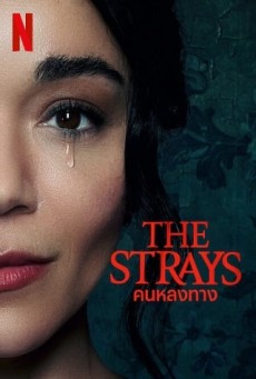 The Strays | Netflix คนหลงทาง