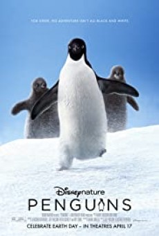 Penguins เพนกวิน