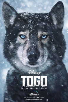 TOGO หมาป่า โตโก