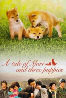 ดูหนังออนไลน์ A Tale of Mari and Three Puppies (Mari to koinu no monogatari) เพื่อนซื่อ... ชื่อ มาริ