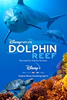 Dolphin Reef  Disney+ อัศจรรย์ชีวิตของโลมา
