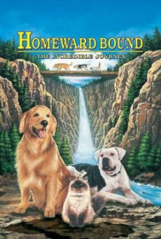 ดูหนังออนไลน์ Homeward Bound The Incredible Journey สองหมาหนึ่งแมว ใครจะพรากเราไม่ได้
