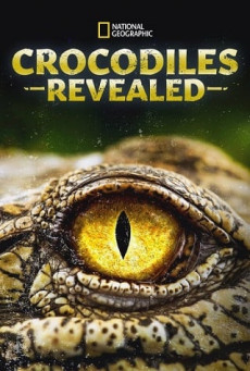 Crocodiles Revealed เปิดเผยเรื่องราวจระเข้