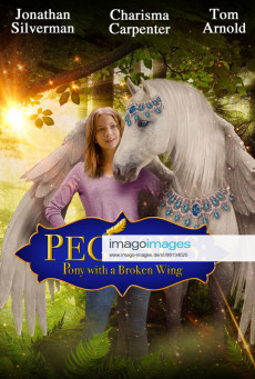 ดูหนังออนไลน์ PEGASUS PONY WITH A BROKEN WING ม้าเพกาซัสที่มีปีกหัก