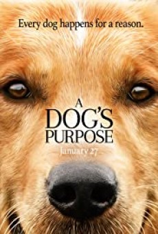 ดูหนังออนไลน์ A Dog's Purpose  หมา เป้าหมาย และเด็กชายของผม