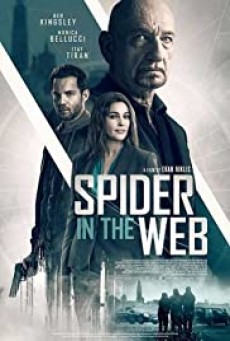 Spider in the Web  สไปเดอร์ อิน เดอะเว็บ