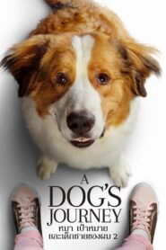 ดูหนังออนไลน์ฟรี A Dog’s Journey หมา เป้าหมาย และเด็กชายของผม 2 (2019)