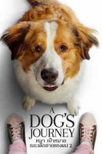 A Dog’s Journey หมา เป้าหมาย และเด็กชายของผม 2