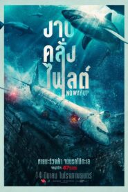 ดูหนังออนไลน์ฟรี NO WAY UP งาบคลั่งไฟลต์ (2024)