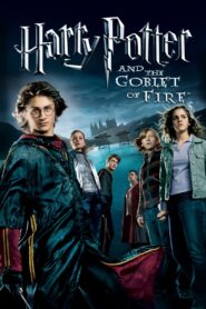 ดูหนังออนไลน์ฟรี Harry Potter 4 and the Goblet of Fire (2005) แฮร์รี่ พอตเตอร์กับถ้วยอัคนี (2005)