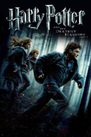 ดูหนังออนไลน์ฟรี Harry Potter 7.1 and the Deathly Hallows Part 1 (2010) แฮร์รี่ พอตเตอร์กับเครื่องรางยมทูต ภาค 1 (2010)