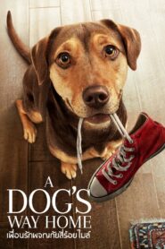 ดูหนังออนไลน์ฟรี A Dog’s Way Home เพื่อนรักผจญภัยสี่ร้อยไมล์ (2019)