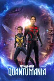 ดูหนังออนไลน์ฟรี Ant-Man and the Wasp Quantumania แอนท์-แมน และ เดอะ วอสพ์ ตะลุยมิติควอนตัม (2023)