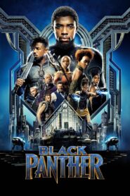 Black Panther แบล็ค แพนเธอร์ วีรบุรุษแห่งวาคานดา