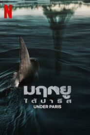 ดูหนังออนไลน์ฟรี Under Paris มฤตยูใต้ปารีส (2024)