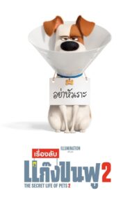 The Secret Life Of Pets 2 เรื่องลับแก๊งขนฟู 2