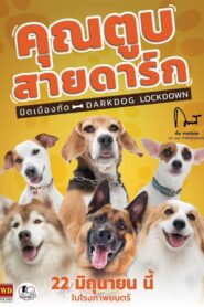 Darkdog Lockdown คุณตูบสายดาร์ก ปิดเมืองกัด