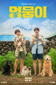 ดูหนังออนไลน์ฟรี My Heart Puppy ตูบน้อยในดวงใจ สายใยในครอบครัว (2023)