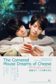 The Cornered Mouse Dreams of Cheese ให้รักฉันอยู่ในมุมหัวใจเธอ