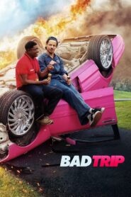 ดูหนังออนไลน์ฟรี Bad Trip ทริปป่วนคู่อำ (2021)