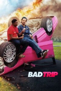 Bad Trip ทริปป่วนคู่อำ