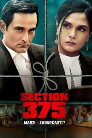 ดูหนังออนไลน์ฟรี Section 375 เซ็กชั่น 375 (2019)